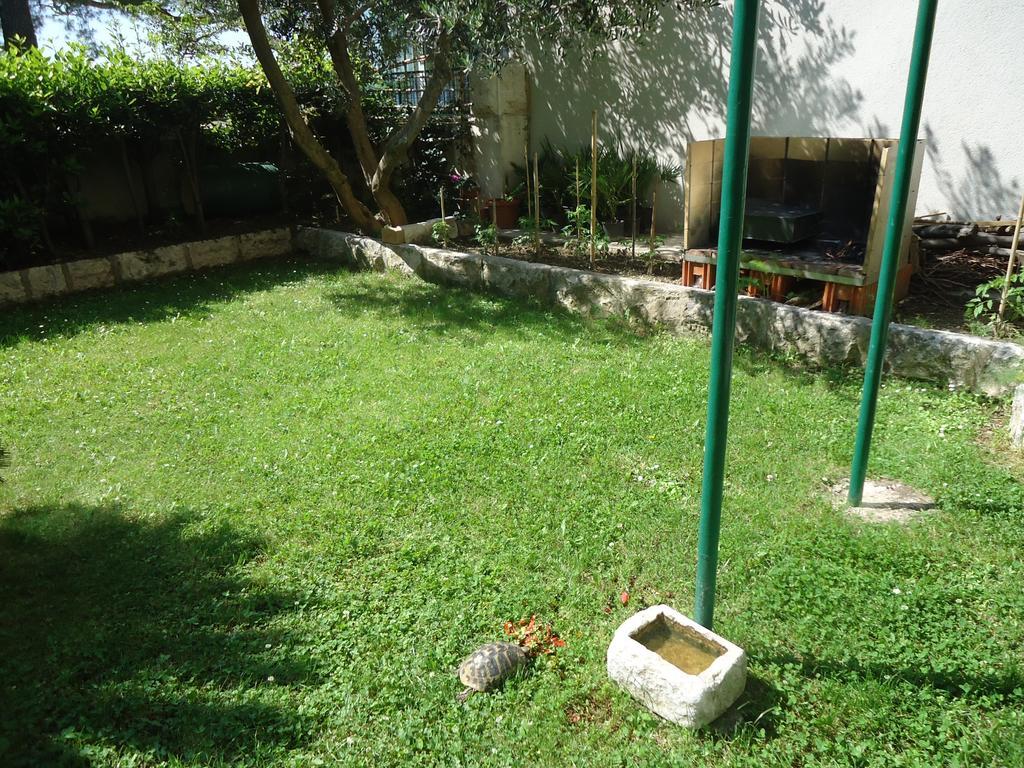 Omis Apartment On The Beach Exterior photo